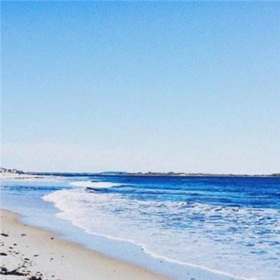 im电竞官网下载手机版