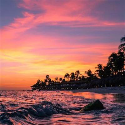 bob·体育综合app