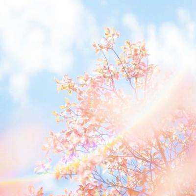 安博.体育app下载截图