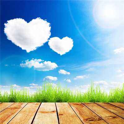 博鱼入口官网截图