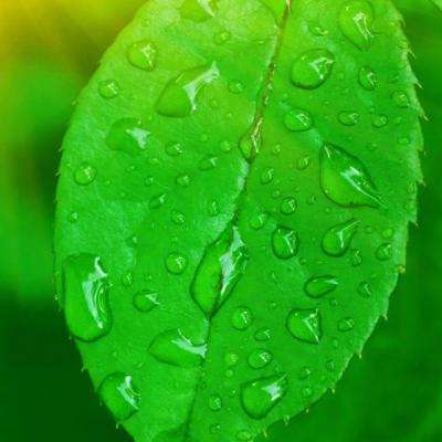 kaiyun登录入口登录