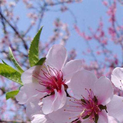 b体育官方app下载手机app下载