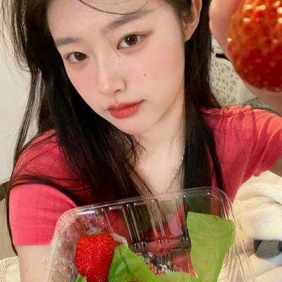 2023澳门资料大全正版手机app下载